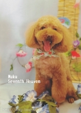 Seventh Heaven
