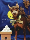 Seventh Heaven