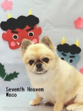 Seventh Heaven