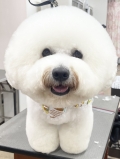 �ޤ�ޤ�ӥ���󥹥�����