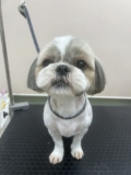 �ޤ�ޤ뤪���ͥ��å�