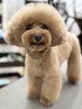 �ߥ˥ޥå���롼�५�å�