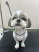 �ޤ�ޤ뤪���ͥ��å�