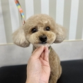 �ӥ��ӥ������Υϡ��ȥ��å�