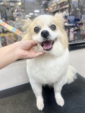 �ϥ��ߤǥ��å����