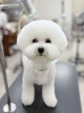 �������ޤ�ޤ륫�å�