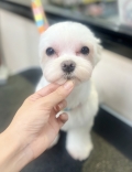 ��դ����Τ�դ�ե��åȢ�