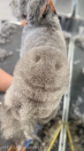 ˥&#9786;