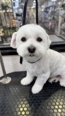 ���å���ݤ���