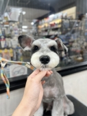 ����ʥ��������å�