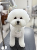 �������ޤ�ޤ륫�å�
