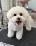 �⤳�⤳�⥳����ᥢ�ե����å�