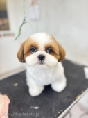 ޤޤ٤Ӥ		