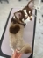 �����äפꡢ�����ʥ饤���󤵤�