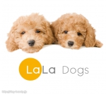 LaLa DogsŹ