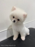 ޤޤ뤪Τݤ