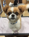 ���å���ޤ�ޤ륫�å�