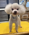 �����ޤ�ޤ륫�å�
