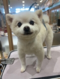 �����������ޤ��󥫥å�
