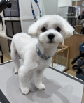 �椭�İ���������