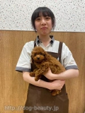鲰