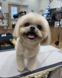 ݤݤݤ
