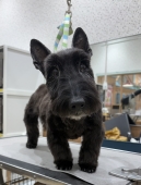 ���ä��ꥹ���å�