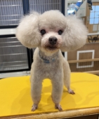 �����ޤ�ޤ륫�å�