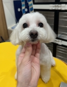 すっきり丸く