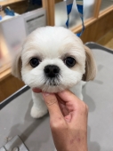 ���ä���ޤ�ޤ륫�å�