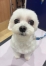 �Ƥ˥��������֤䤫��������