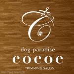 dog paradise CocoeŹ