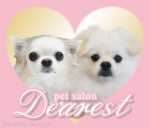 pet salon Dearest