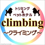 climbing饤ߥ󥰡