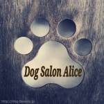 Dog Salon Alice