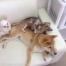 愛LOVE1