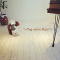 Dog salon Days