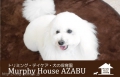 Murphy House AZABU