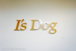 pet care salon  I's  Dog  Aisai