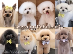 Dog salon Fabulous*