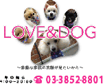 LOVE & DOG