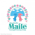 Dog Studio Maile - ɥå ޥ -