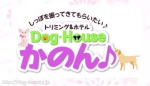 DogHouse・かのん