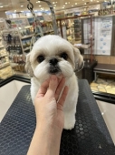 ムクちゃんの13ミリスタイル♪