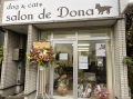 dog & cat salon de Dona