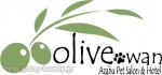 Olivewan