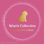Wan's Collection　（12月オープン予定）