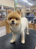 蓮示くんすっきりスタイル☆