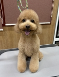 スッキリブーツカット