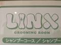 ̣ɣΣ roomingRoom